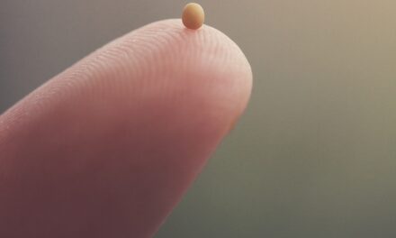 Evangelio de Hoy, Domingo 5 de Octubre 2025