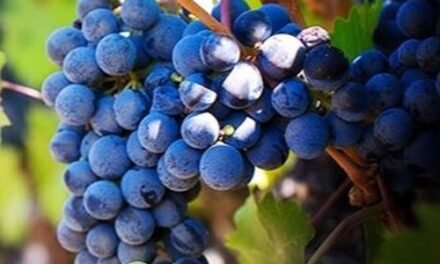 Evangelio de Hoy, Martes 16 de Diciembre 2025