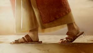 Evangelio de Hoy, Domingo 14 de Diciembre 2025