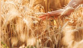 Evangelio de Hoy, Martes 20 de Enero 2026