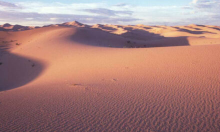 Meditación 2.º domingo de Cuaresma (Ciclo A): El desierto y el monte son lugares de silencio