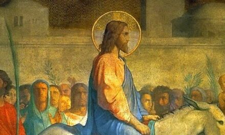 Meditaciones Domingo de Ramos: Entrada del Señor en Jerusalén