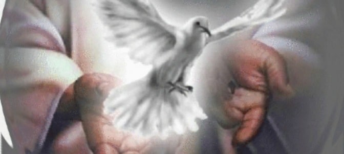 Evangelio de Hoy, Martes 5 de Mayo 2026, martes de la 5.ª semana de Pascua.