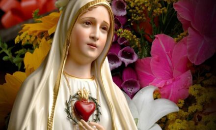 Evangelio de Hoy, Miércoles 13 de Mayo 2026, fiesta de la Virgen de Fátima.