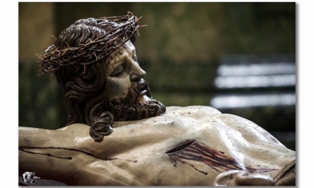 Evangelio de Hoy, Miércoles 15 de Julio 2026, miércoles de la 15.ª semana del tiempo ordinario.