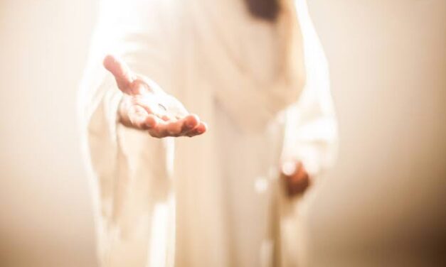 Meditaciones domingo de la 25.ª semana del Tiempo Ordinario (ciclo A): Cristo llama a todos a su viña.